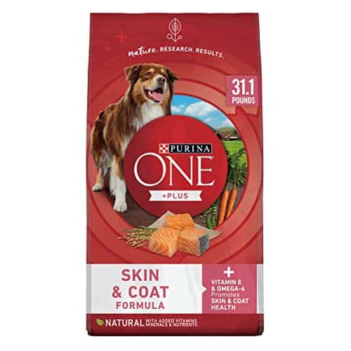 The 10 Best Dry Dog Food For Healthy Skin And Coat In 2023 Top Picks