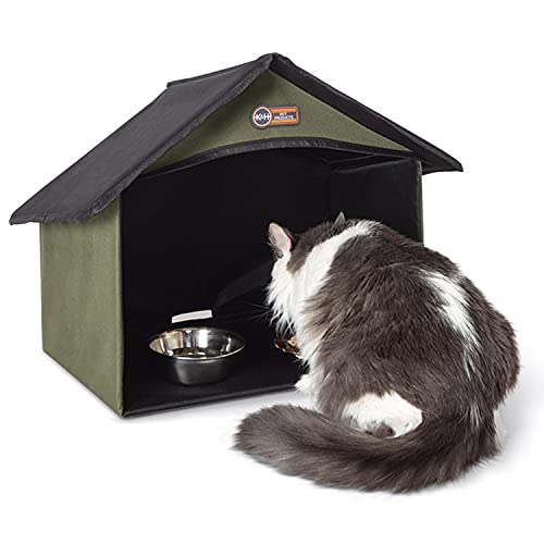 The 10 Best Cat Food For Feral Cats In 2023 Top Picks &