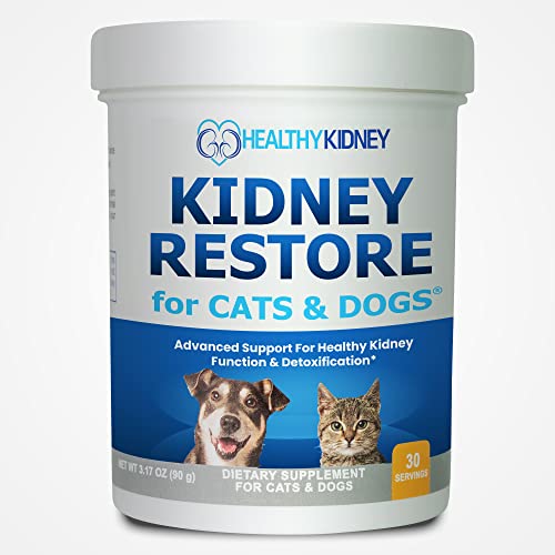 The 10 Best Cat Food For Kidney Failure In 2023 Top Picks &