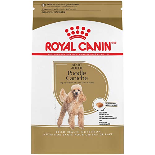 10 Best Dog Food For Miniature Poodles In 2023 Top Picks &