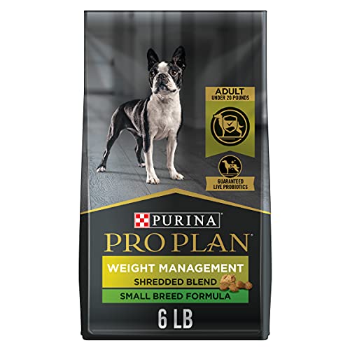 10 Best Puppy Food For Boston Terrier In 2023 Top Picks &