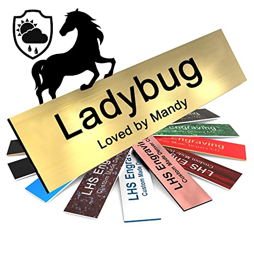 The 10 Best Gravel For Horse Stalls In 2023 Top Picks &