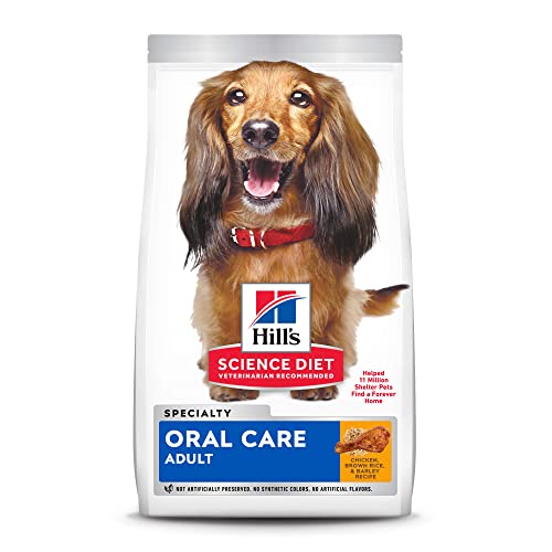 Best Dog Food For Dental Care