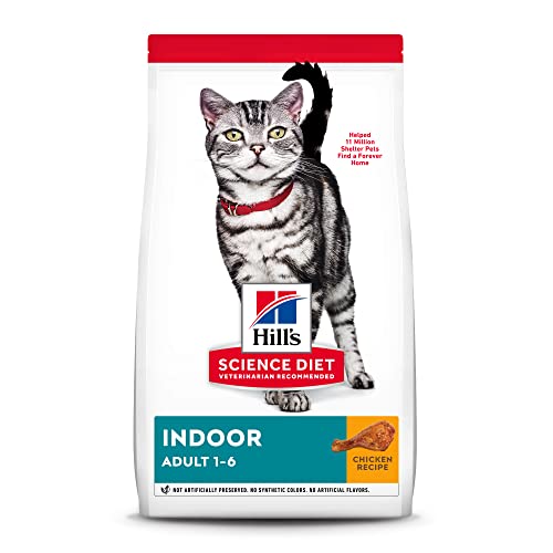 The 10 Best Cat Food For Young Indoor Cats In 2023 Top Picks