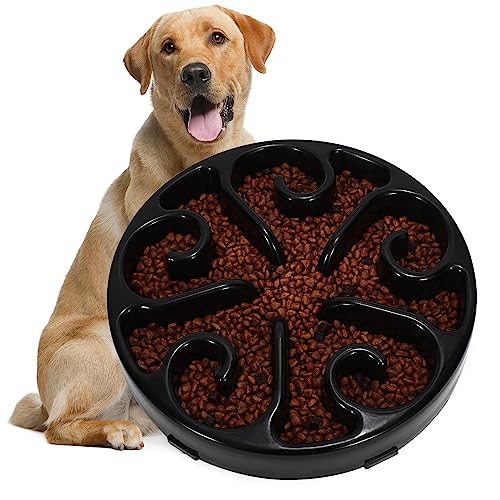 The 10 Best Food To Feed Labrador Puppy In 2023 Top Picks &