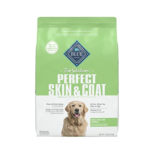 The 10 Best Salmon Dog Food For Skin Allergies In 2023 Top Picks
