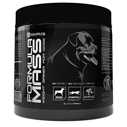 The 10 Best Supplement For Dog Weight Gain In 2023 Top Picks &