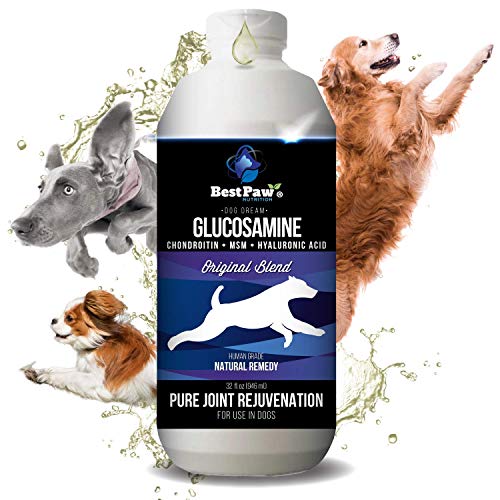 The 10 Best Dog Food For Hip Dysplasia In 2023 - Top Picks & Recommended