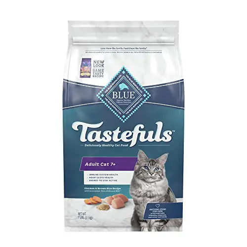 The 10 Best Cat Food For Older Cats In 2023 - Top Picks & Recommended