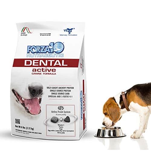 The 10 Best Dog Food For Healthy Teeth In 2023 Top Picks &