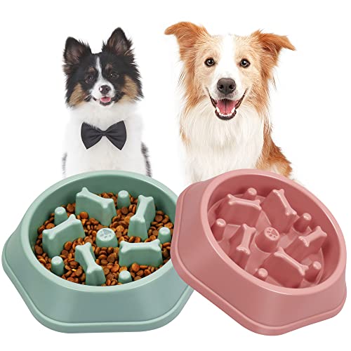 The 10 Best Puppy Food For Australian Shepherds In 2023 Top Picks