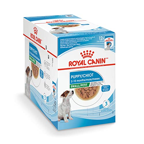 10 Best Wet Dog Food For Yorkie Puppies In 2023 Top Picks &