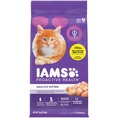 The 10 Best Cat Food For Kittens Dry In 2023 Top Picks &