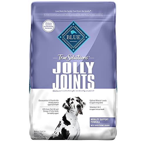 The 10 Best Food For Dogs With Arthritis In 2023 Top Picks &