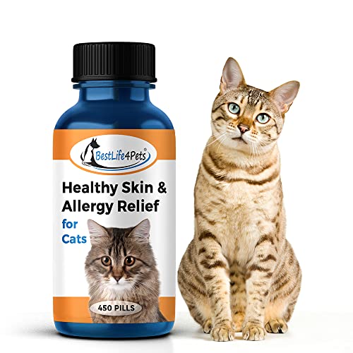The 10 Best Cat Food For Allergic Dermatitis In 2023 Top Picks