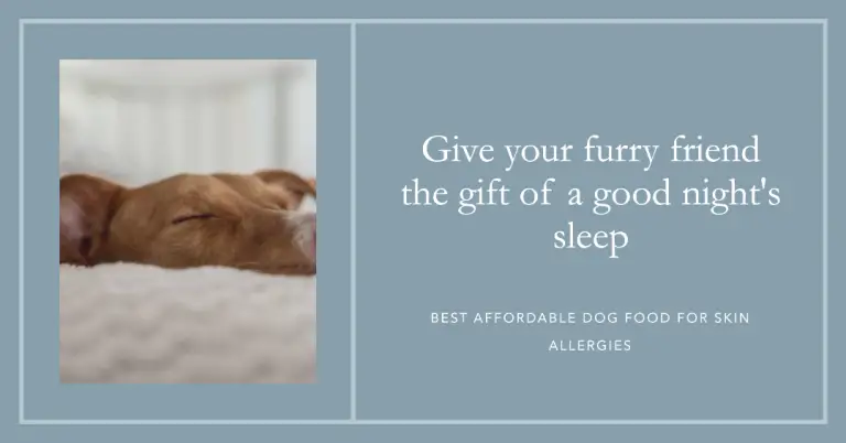Best Affordable Dog Food For Skin Allergies