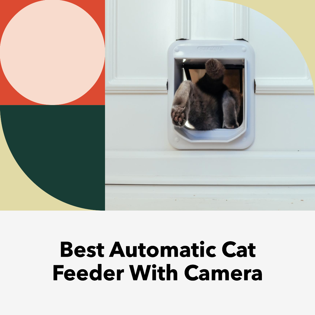 the 10 Best Automatic Cat Feeder With Camera for Happy and Healthy Pets