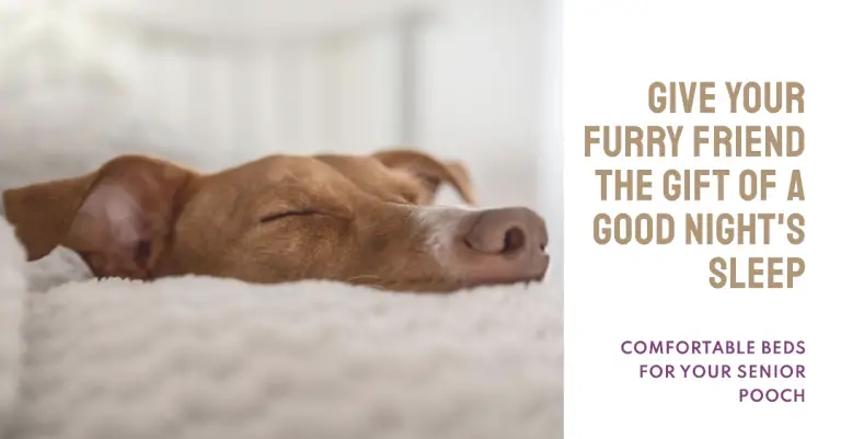 Best Dog Beds For Huskies For Comfort