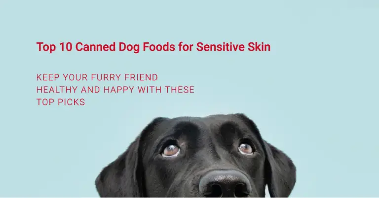 Best Canned Dog Food For Sensitive Skin