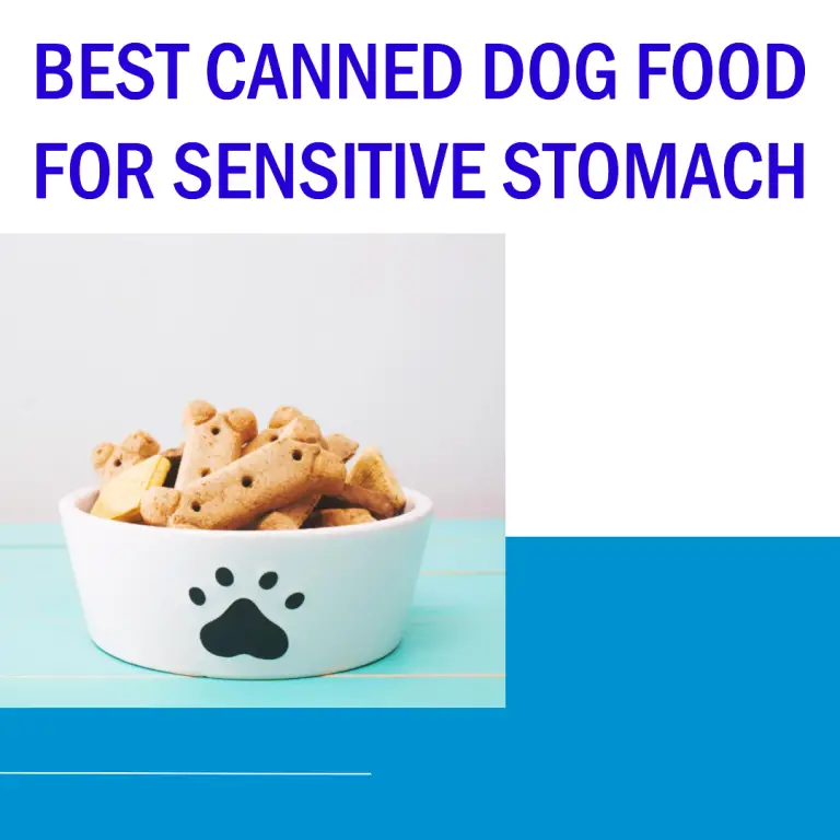 Best Canned Dog Food For Sensitive Stomach