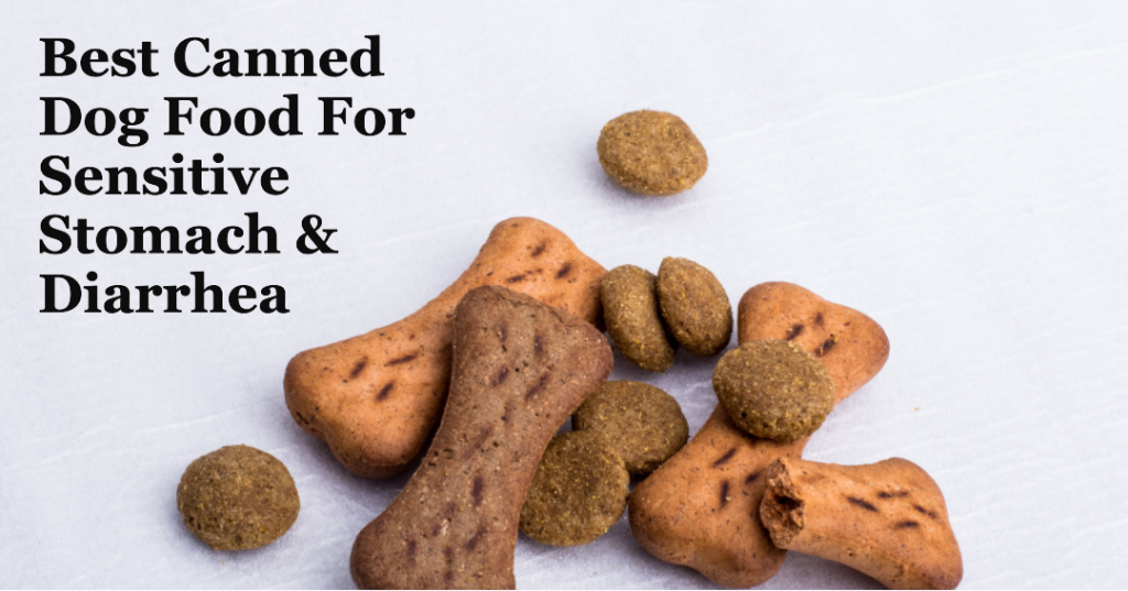 Best Canned Dog Food For Sensitive Stomach And Diarrhea