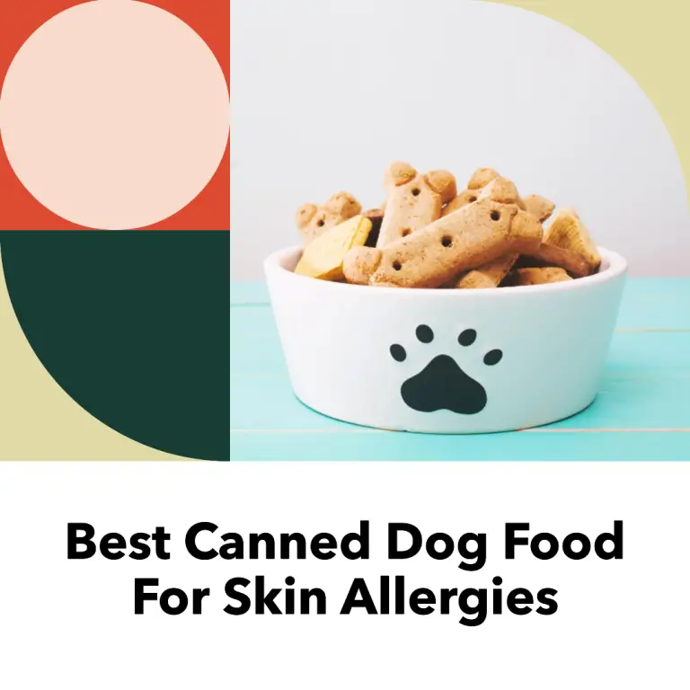 Best Canned Dog Food For Skin Allergies