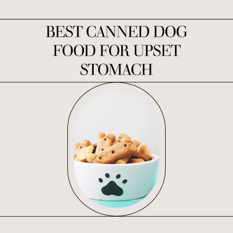 Best Canned Dog Food For Upset Stomach