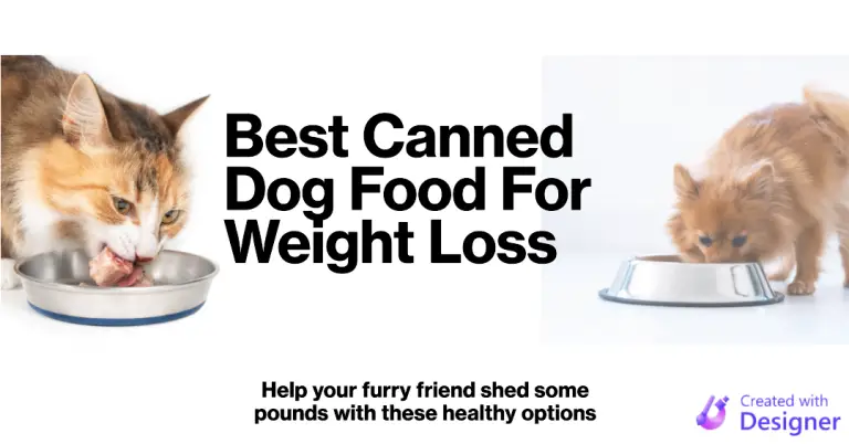Best Canned Dog Food For Weight Loss