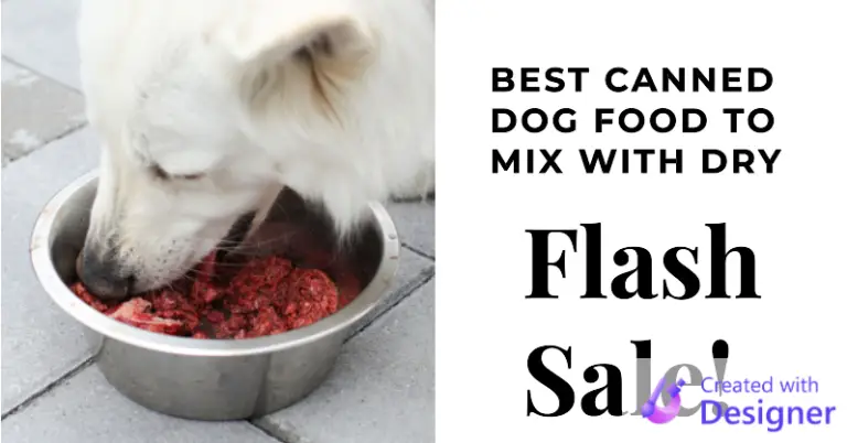 Best Canned Dog Food To Mix With Dry