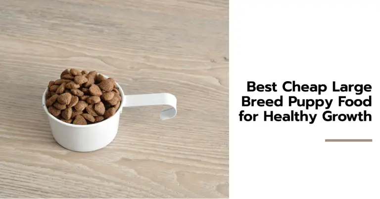 Best Cheap Large Breed Puppy Food for Healthy Growth