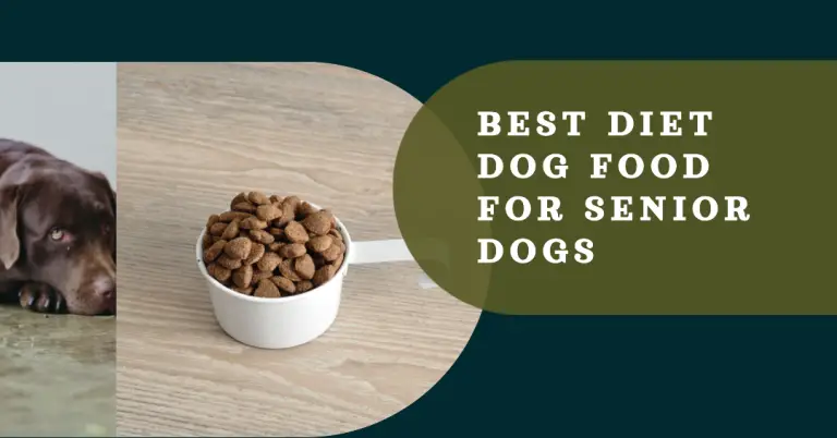 Best Diet Dog Food for Senior Dogs