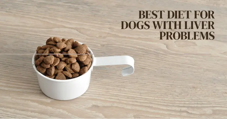Best Diet for Dogs With Liver Problems
