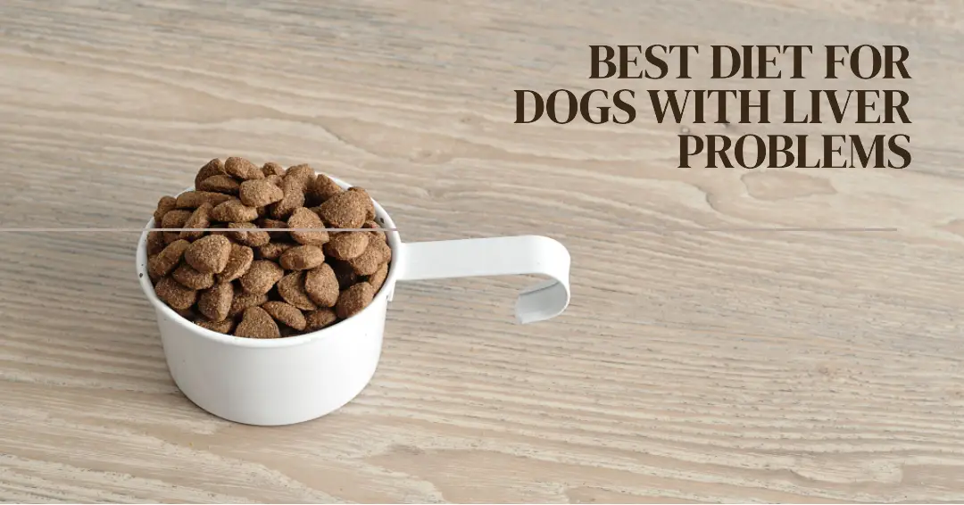 the-10-best-diet-for-dogs-with-liver-problems-a-complete-guide