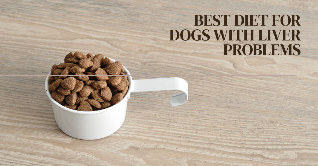 The 10 Best Diet For Dogs With Liver Problems A Complete Guide