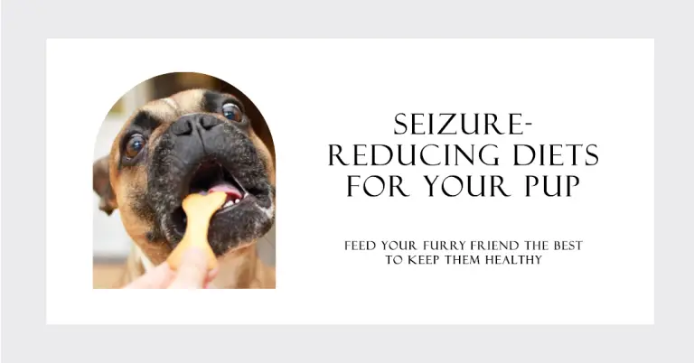 Best Diet for Dogs With Seizures