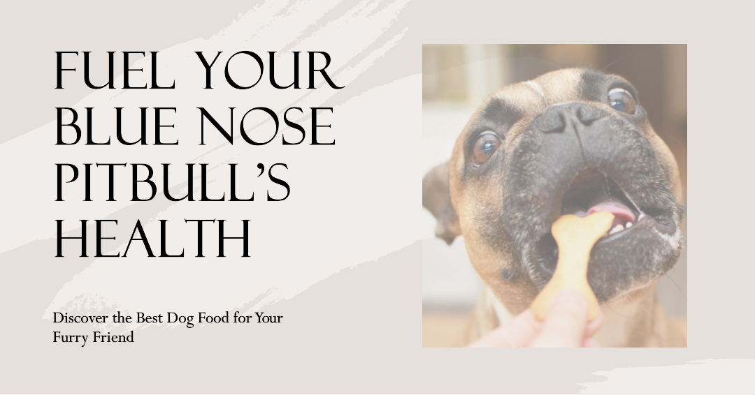 The 10 Best Dog Food For Blue Nose Pitbulls In 2023 Top Picks