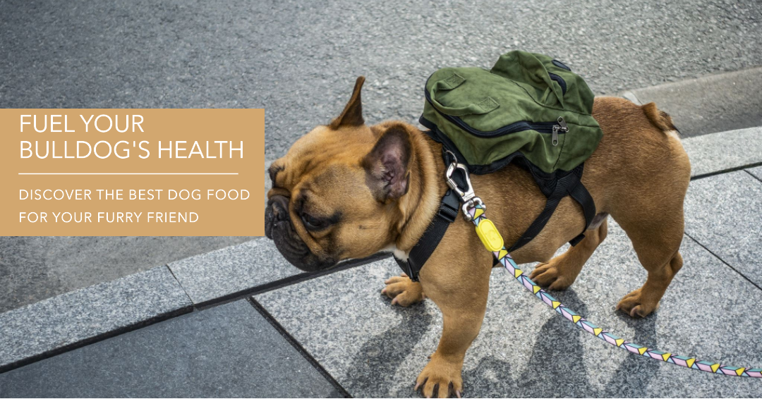 The 10 The Best Dog Food For Bulldogs In 2023 Top Picks &