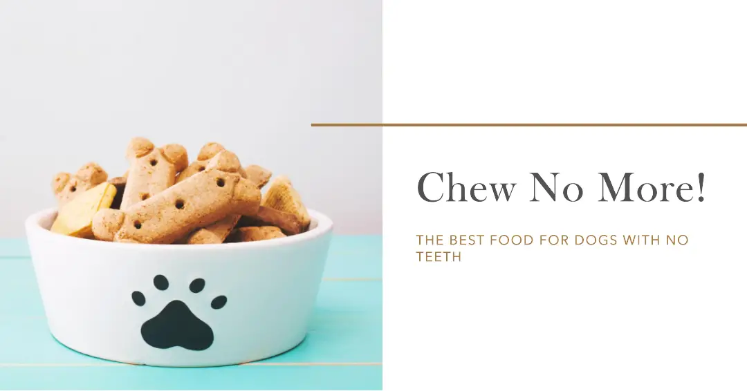 the-10-best-food-for-dogs-with-no-teeth-in-2023-top-picks-recommended