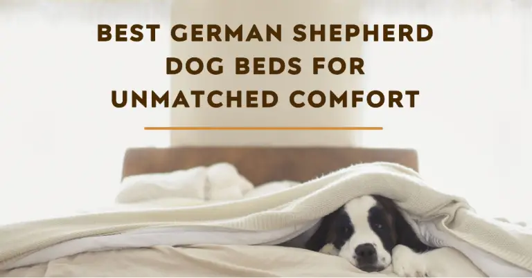Best German Shepherd Dog Beds For Unmatched Comfort