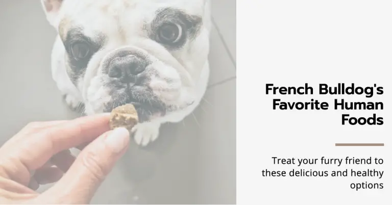 Best Human Food For French Bulldogs