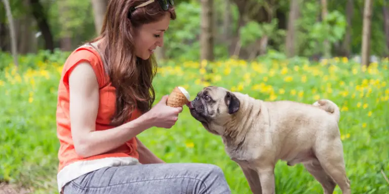 Can Dogs Eat Sugar Cones