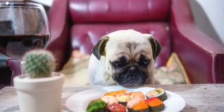 Can Dogs Safely Eat Raw Fish