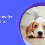 Is Ant Powder Harmful to Dogs