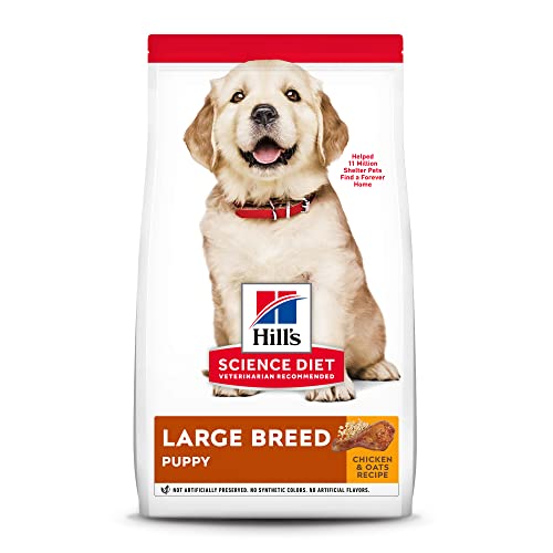 10 Best Dry Dog Food For Lab Puppies In 2023 Top Picks &