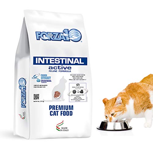 The 10 Best Cat Food For Gastrointestinal Problems In 2023 Top Picks &