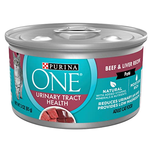 The 10 Best Cat Food For Senior Cats With Urinary Tract Problems In