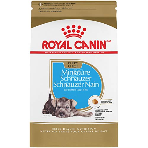 10 Best Food For Miniature Schnauzer Puppies In 2023 Top Picks &