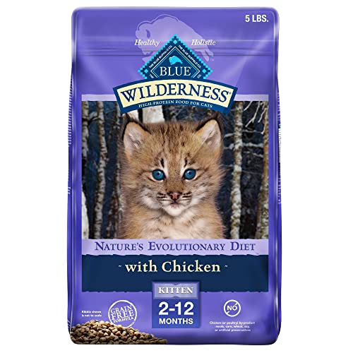 Best Dry Cat Food For 6 Month Old Kitten