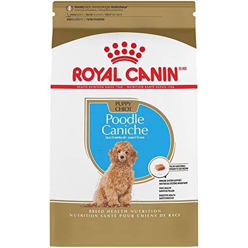 10 Best Dog Food For Toy Poodle Puppy In 2023 Top Picks &