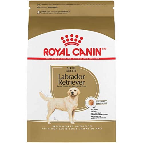 The 10 Best Adult Dog Food For Labs In 2023 Top Picks &